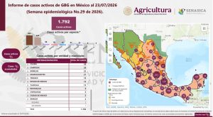 Sinaloa suma 3 casos activos de gusano barrenador del ganado